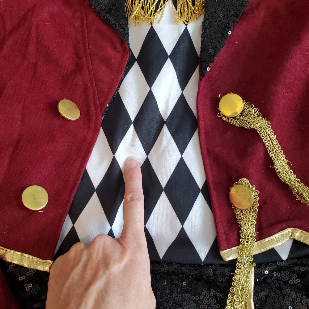 Dazzling Ringmaster The Greatest Showman Adult Halloween Costume M - Picture 8 of 10